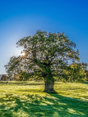 Screensaver - "Don't Doubt; Do, Do" Poem